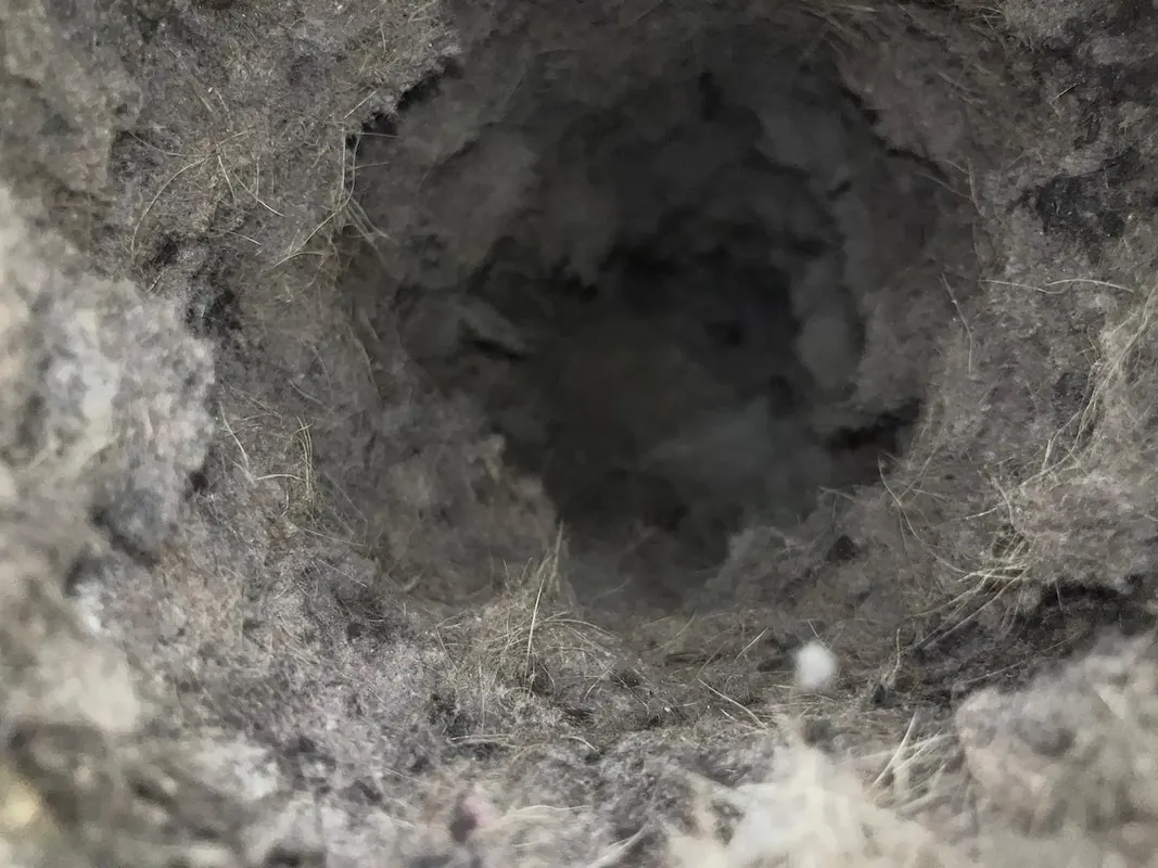 freshVent job photo - duct cleaning Fort Worth