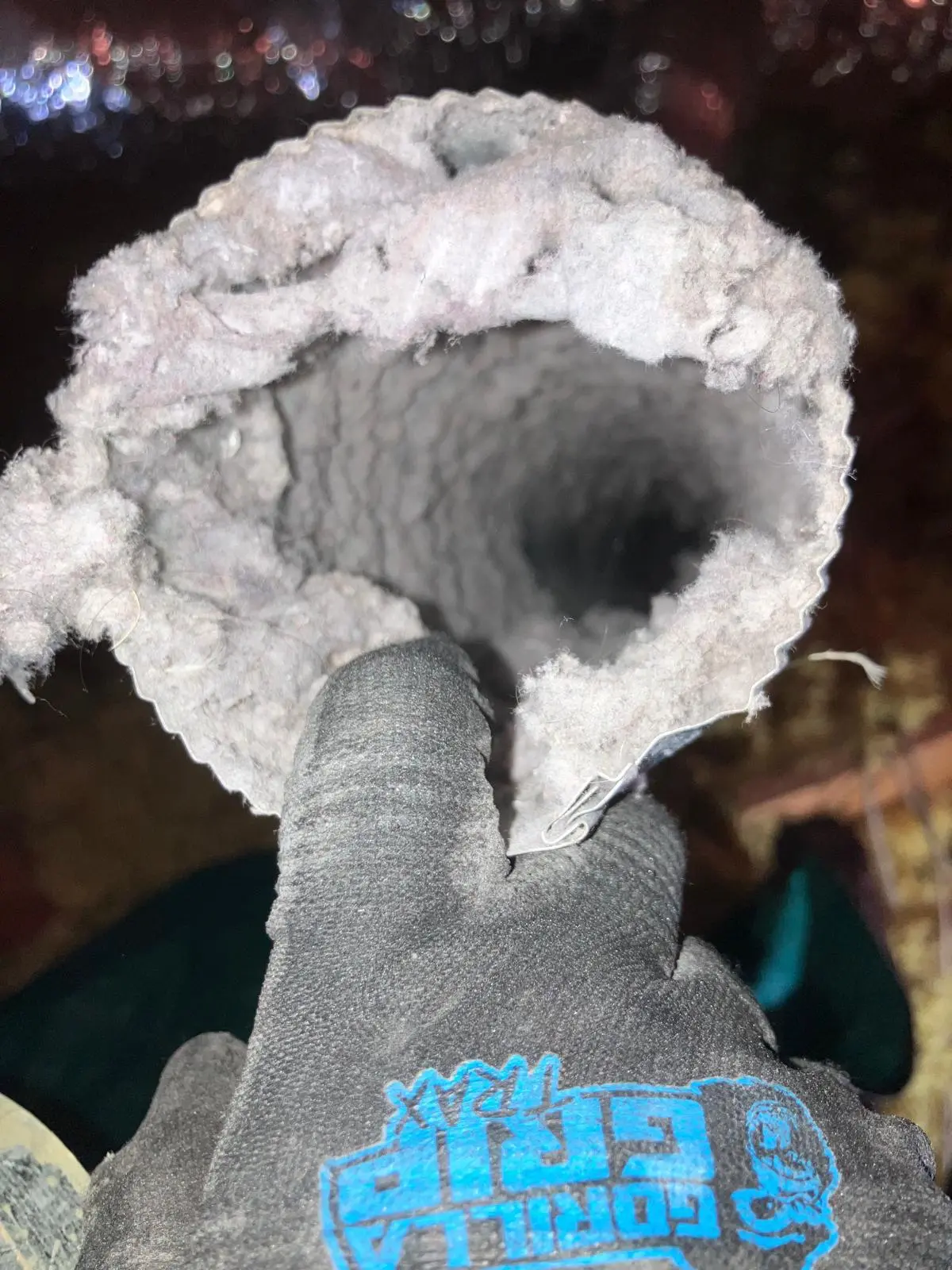 Dryer vent before cleaning